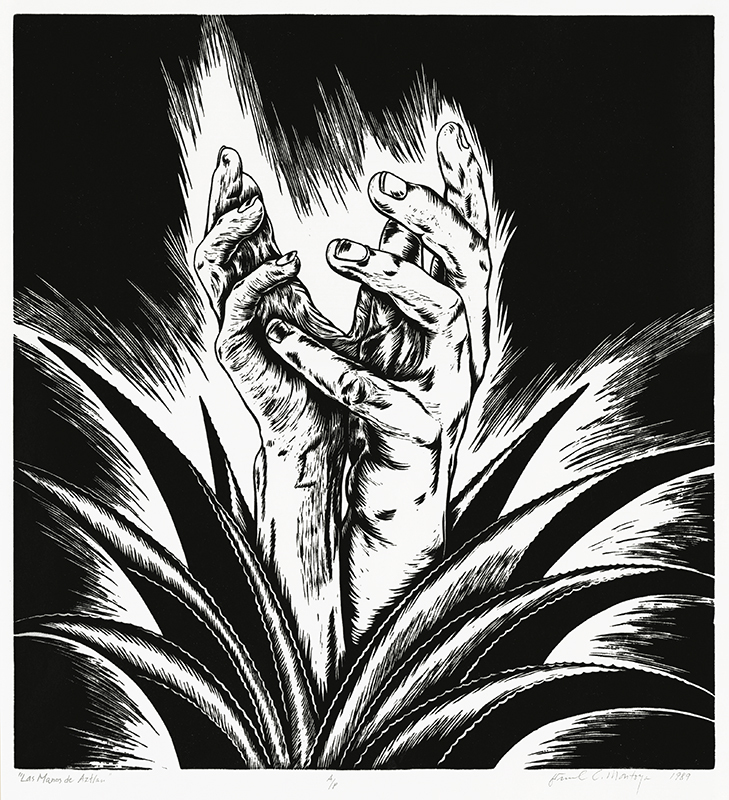 Las Manos de Aztlan by Emmanuel C. Montoya