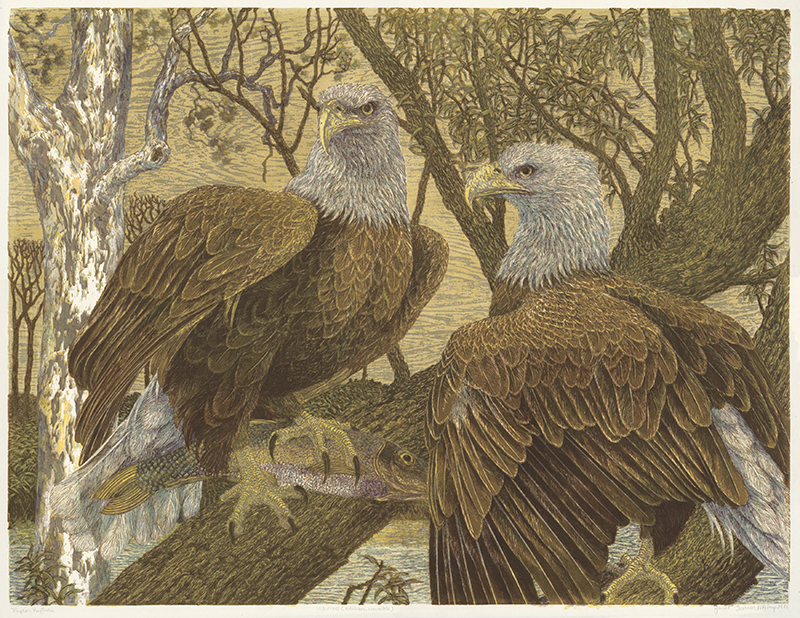 Raptor Rapture by Janet Turner