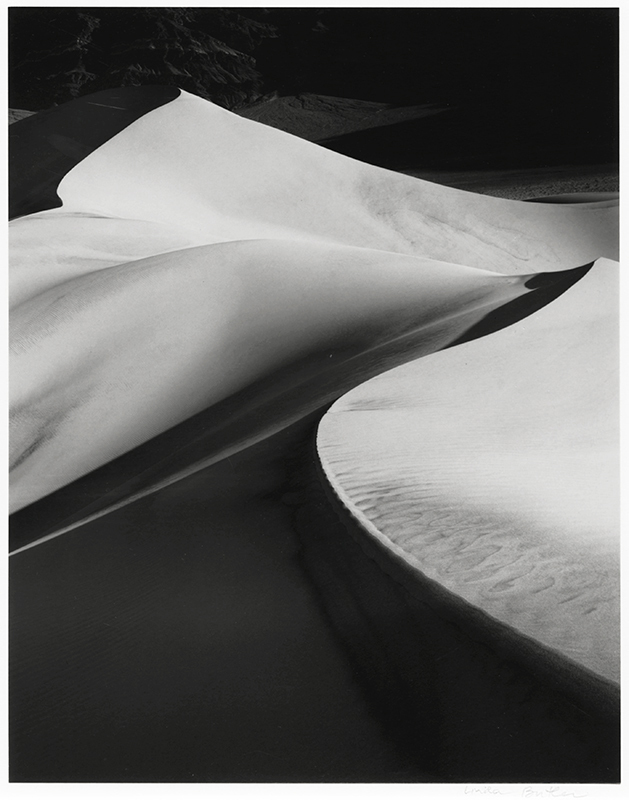 Curved Dune, Eureka Valley, CA by Linda Butler