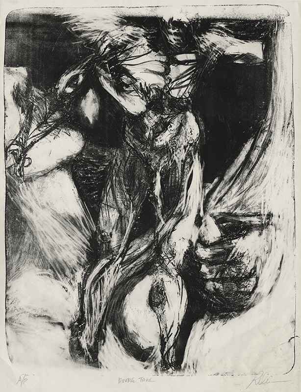 Double Take by Unidentified