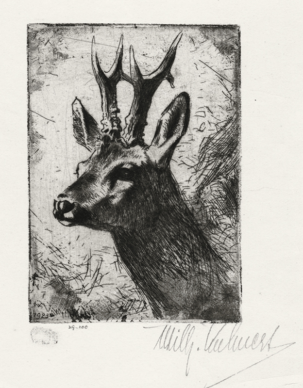 Untitled (Three-point roebuck) by Wilhelm Kuhnert