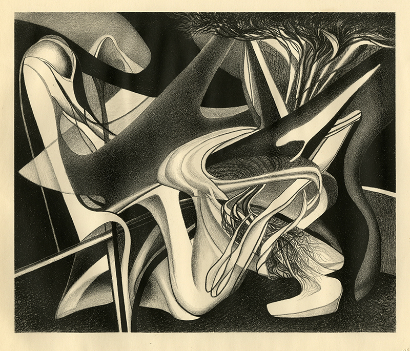 Memory of the Dark by Barbara Olmsted