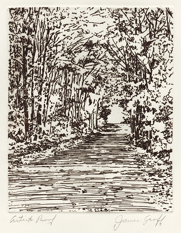 Untitled (road through a wood) by James Groff
