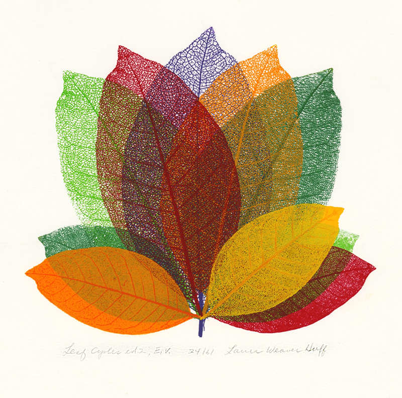 Leaf Cycle by Laura Weaver Huff