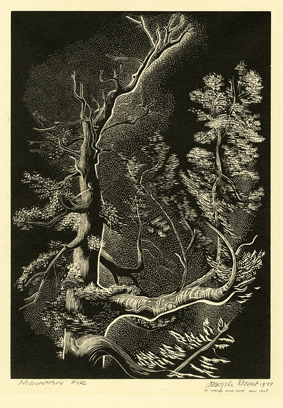 Mountain Fir by Joseph Samuel Donat