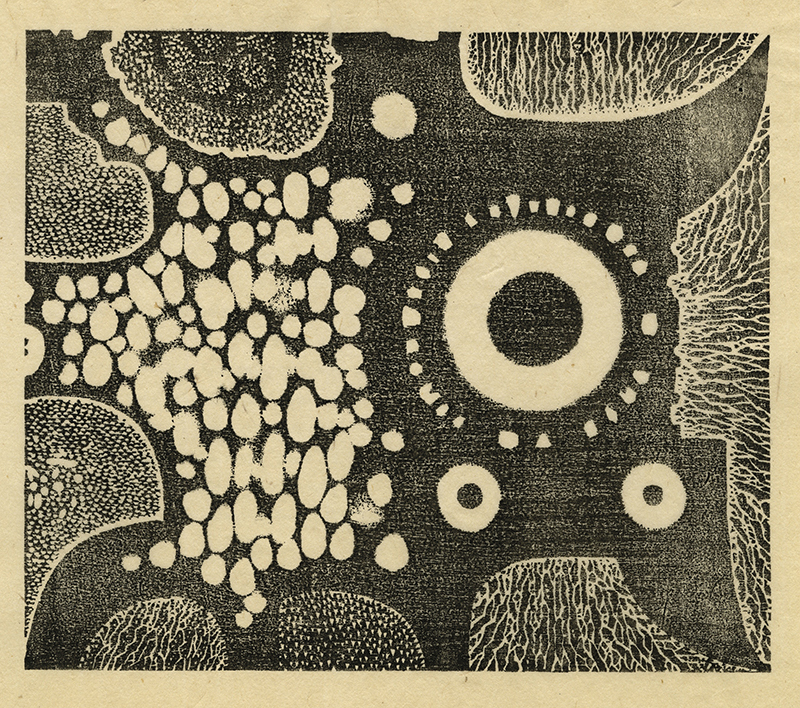 Varieties of the Japanese Print Volume 1 (with 20 hand printed examples) by Toshi Yoshida