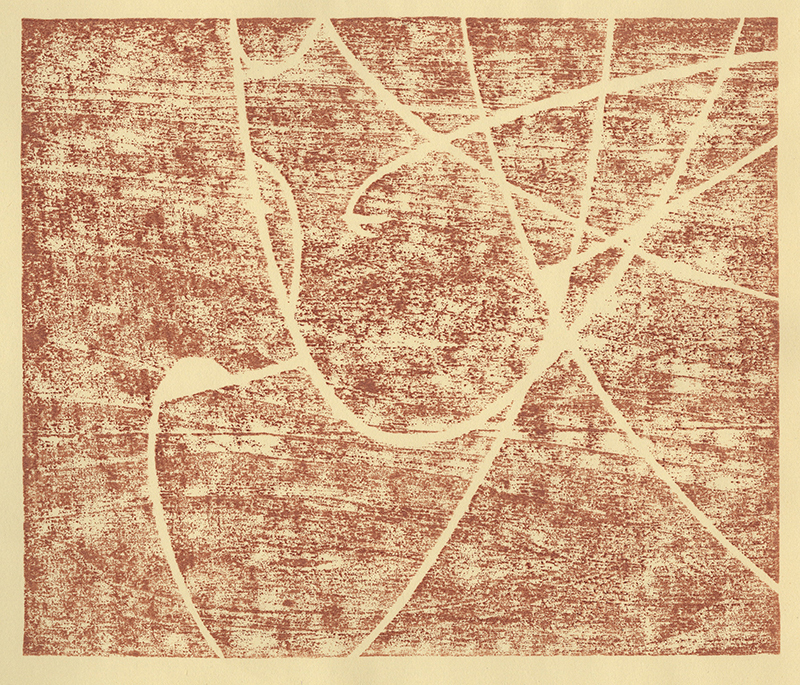 Varieties of the Japanese Print Volume 1 (with 20 hand printed examples) by Toshi Yoshida