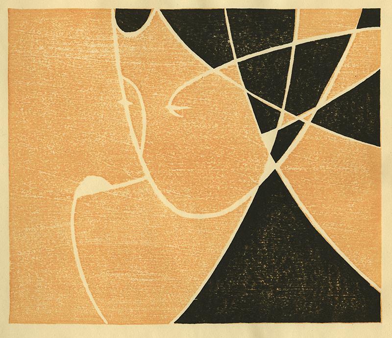 Varieties of the Japanese Print Volume 1 (with 20 hand printed examples) by Toshi Yoshida