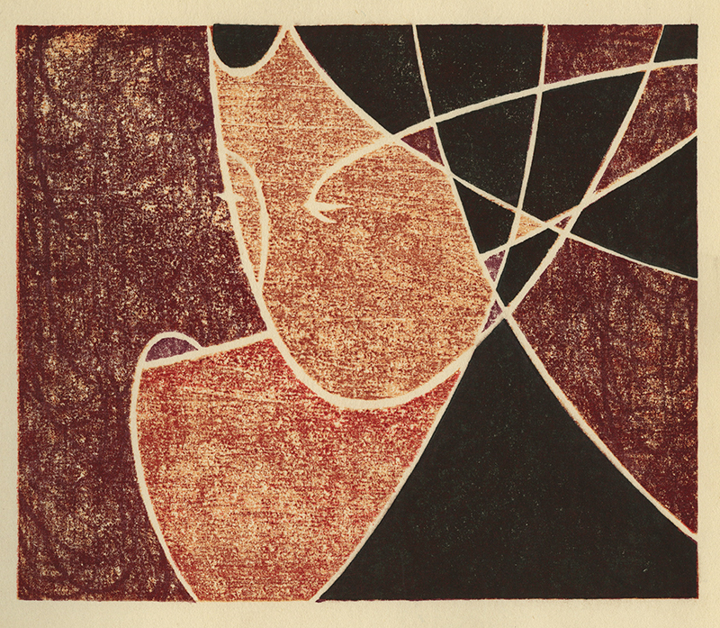 Varieties of the Japanese Print Volume 1 (with 20 hand printed examples) by Toshi Yoshida