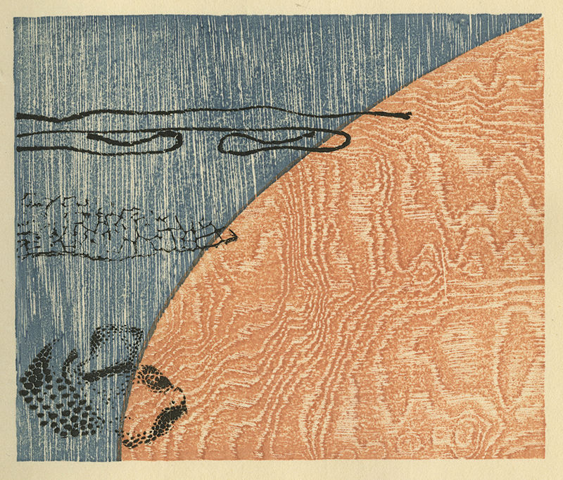 Varieties of the Japanese Print Volume 1 (with 20 hand printed examples) by Toshi Yoshida
