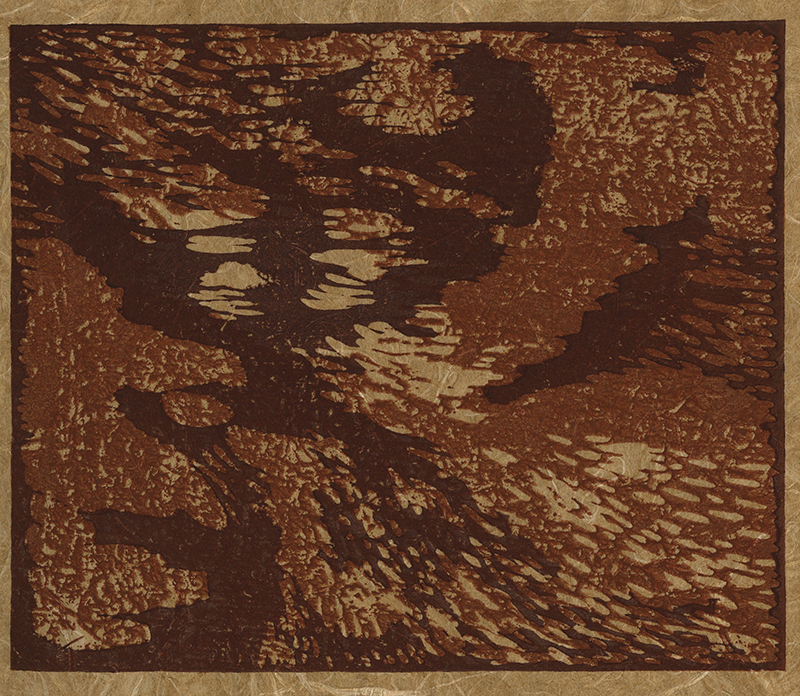Varieties of the Japanese Print Volume 1 (with 20 hand printed examples) by Toshi Yoshida