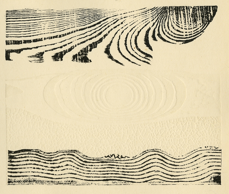 Varieties of the Japanese Print Volume 1 (with 20 hand printed examples) by Toshi Yoshida