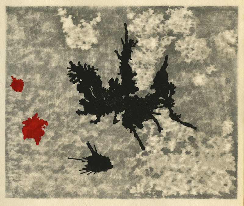 Varieties of the Japanese Print Volume 1 (with 20 hand printed examples) by Toshi Yoshida