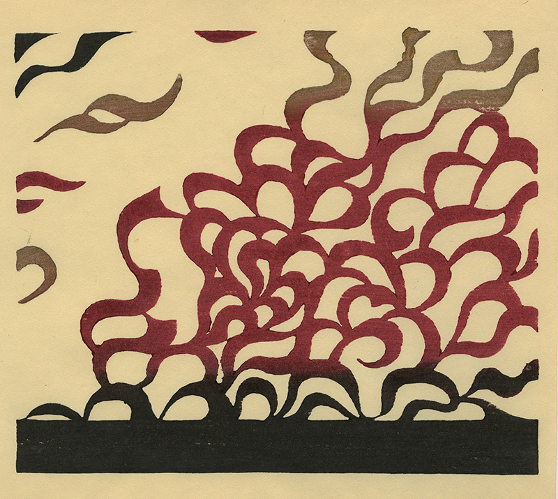 Varieties of the Japanese Print Volume 1 (with 20 hand printed examples) by Toshi Yoshida