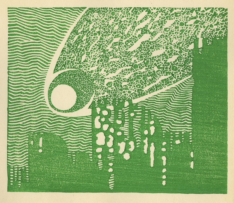 Varieties of the Japanese Print Volume 1 (with 20 hand printed examples) by Toshi Yoshida
