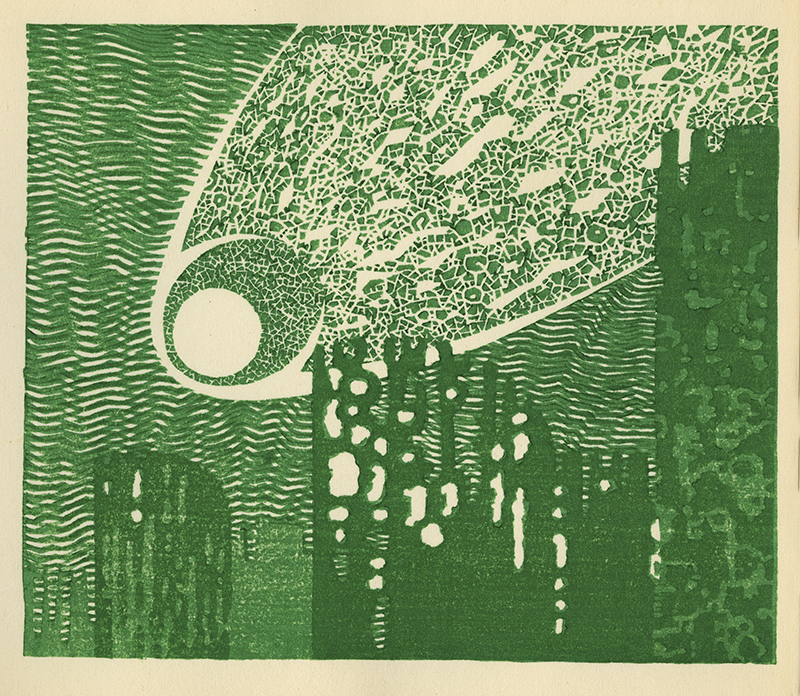 Varieties of the Japanese Print Volume 1 (with 20 hand printed examples) by Toshi Yoshida