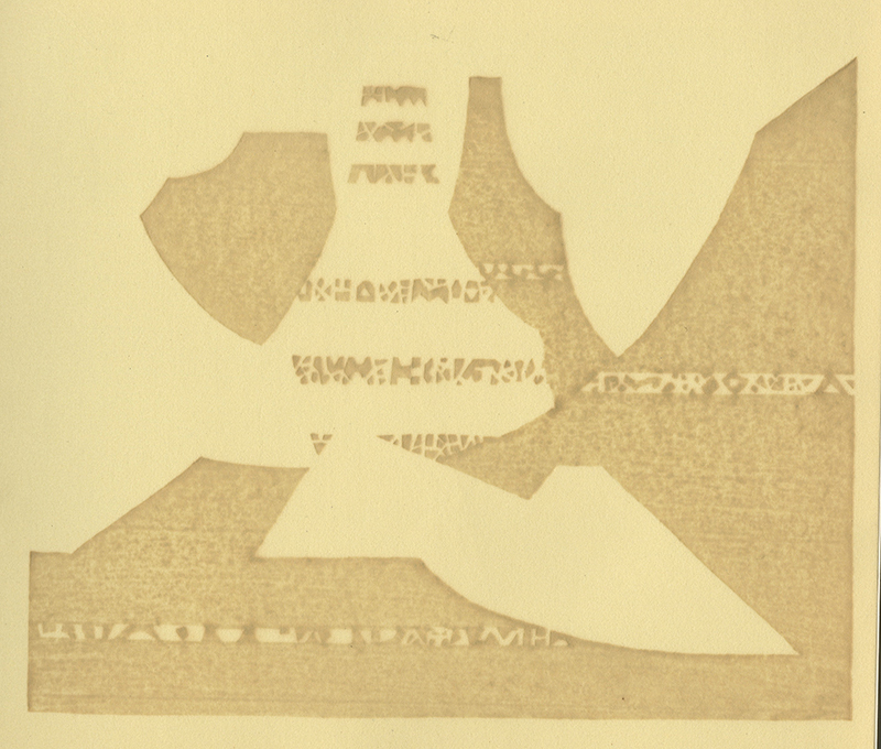 Varieties of the Japanese Print Volume 1 (with 20 hand printed examples) by Toshi Yoshida