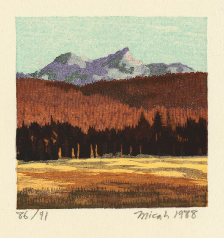 Afternoon, Tuolumne Meadow - from: Tuolumne: Yosemite, Book I by Micah Schwaberow