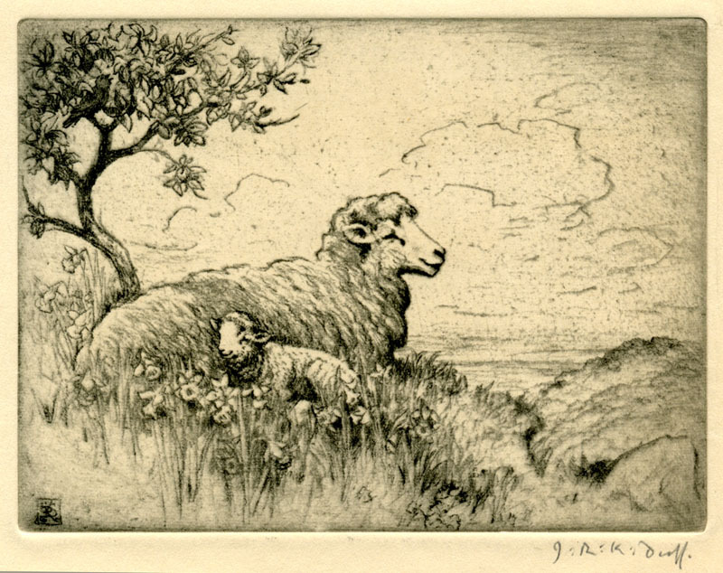 (Sheep and Lamb) by John Robert Keitley Duff