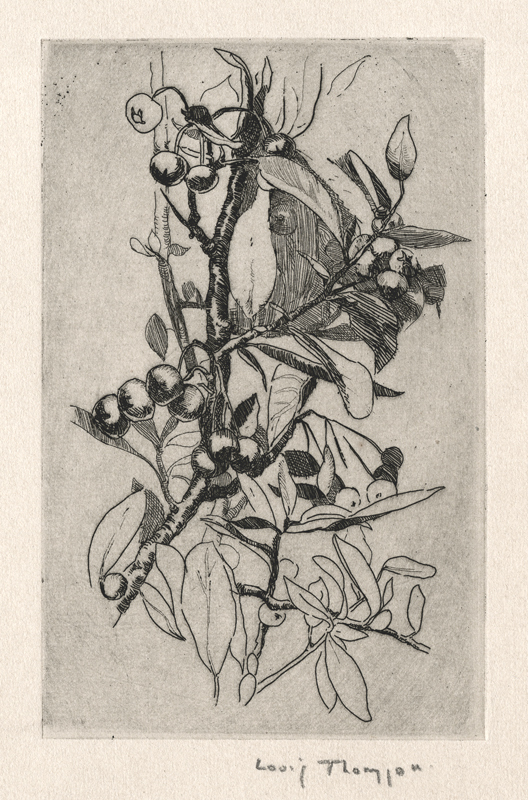 (Blueberries) by Louisa Emily (Louis) Thomson