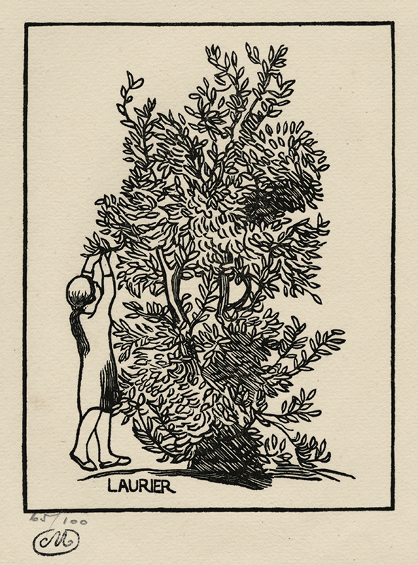 Laurier - titlepage illustration for Les Georgiques de Virgile Vol. II by Aristide Maillol