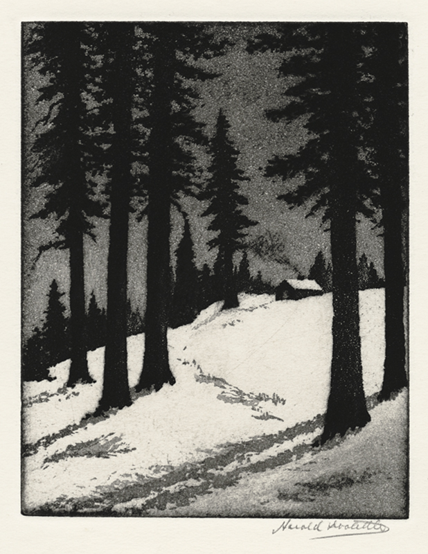 (Trees in Snow) by Harold Doolittle