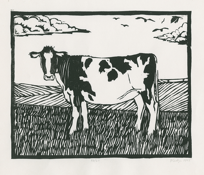 Cow by David Pledge