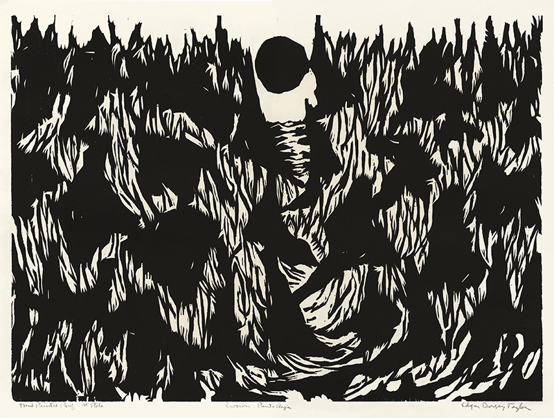 Erosion, Punta Baja  from Baja California Woodcuts by Edgar Dorsey Taylor