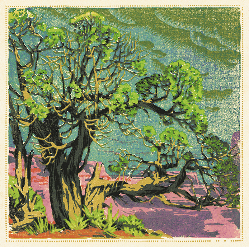 Cedar Grand Canyon by Gustave Baumann