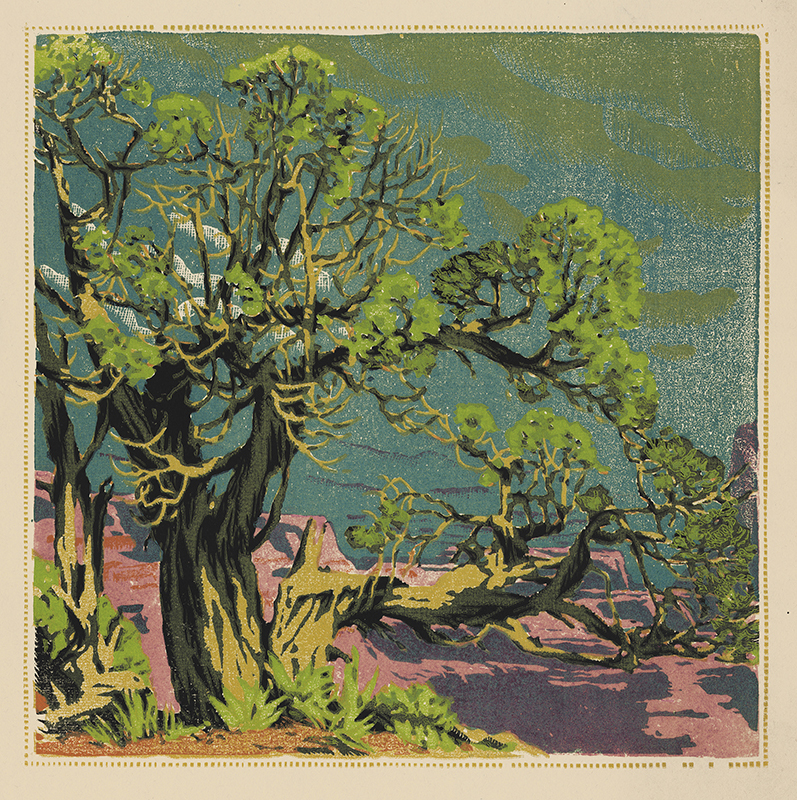 Cedar Grand Canyon by Gustave Baumann