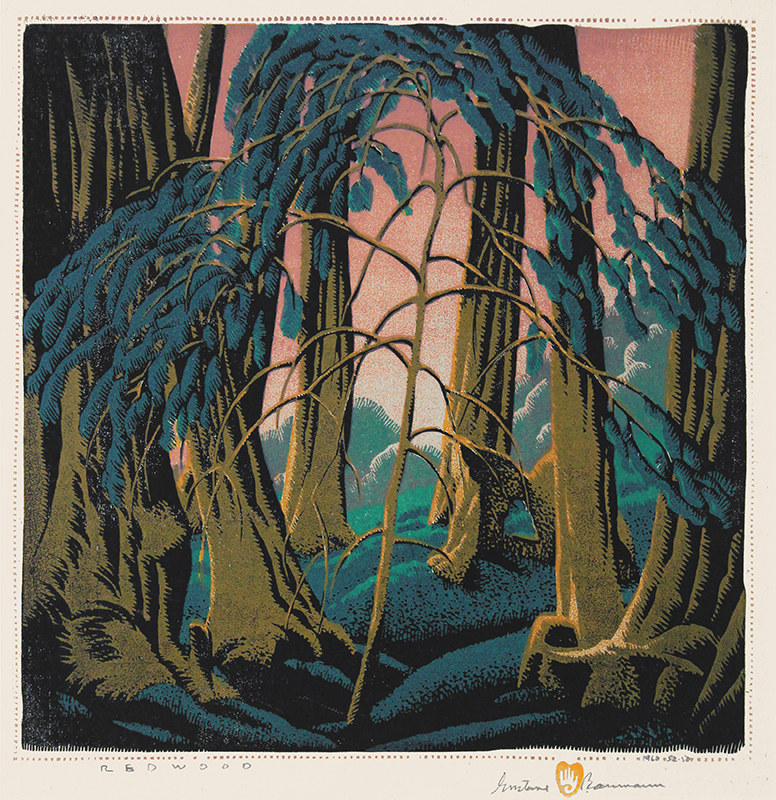 Redwood by Gustave Baumann