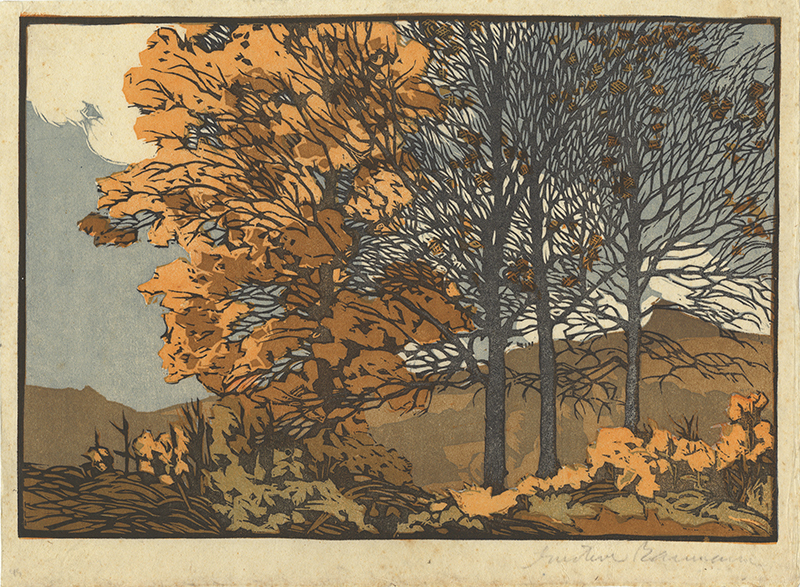 In the Hills of Brown by Gustave Baumann