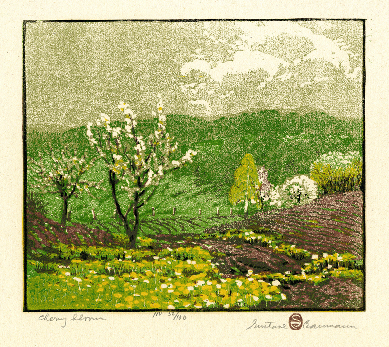 Cherry Bloom by Gustave Baumann