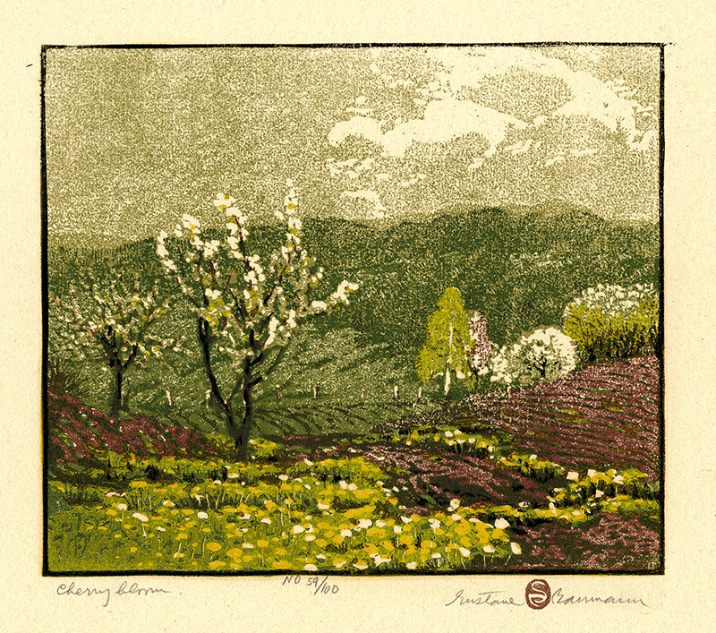 Cherry Bloom by Gustave Baumann