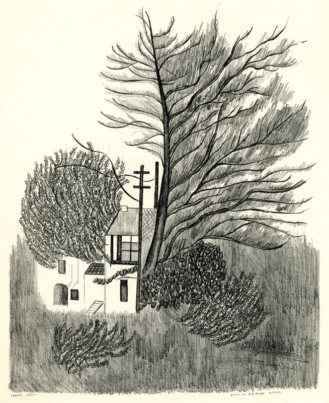 View in Golden Gate Park  (WPA) by Jennie Lewis