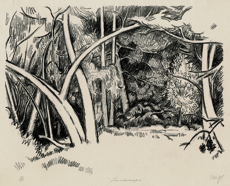 Landscape (WPA) by Lloyd William Wulf