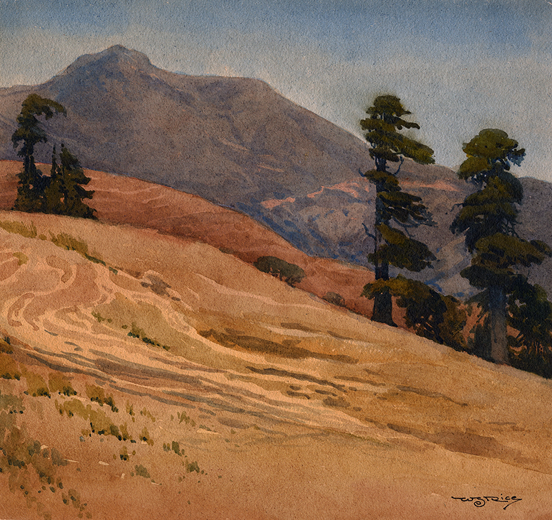 Mt. Tamalpais near Muir Trail by William Seltzer Rice