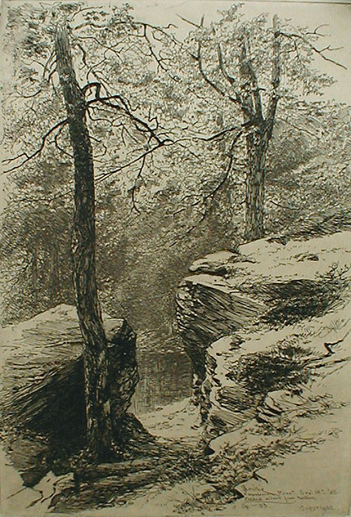 A Woodland Pool, Montrose by James David Smillie