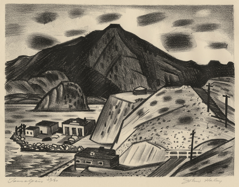 Tamalpais by John Charles Haley