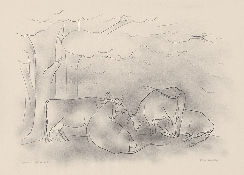 Cows in Shade #5 by Arthur George Murphy