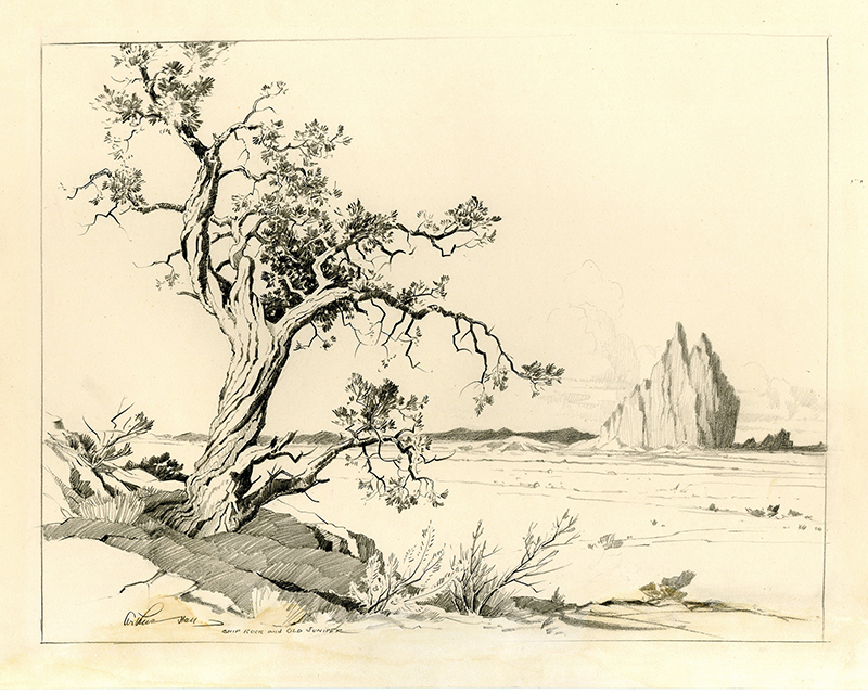 Ship Rock and Old Juniper by Arthur Hall