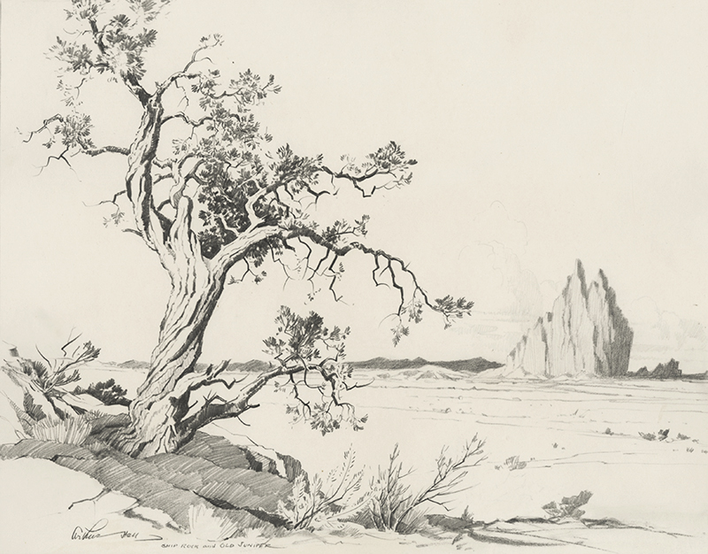 Ship Rock and Old Juniper by Arthur Hall