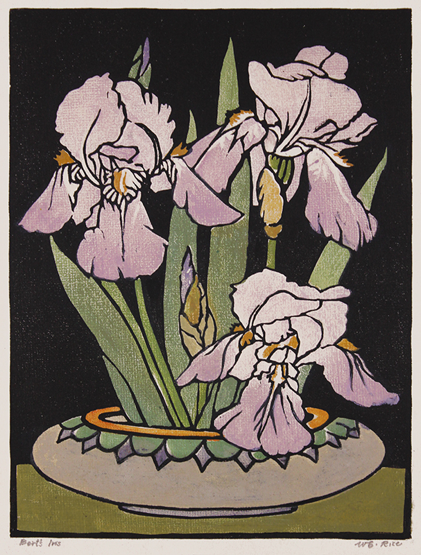 Bert's Iris by William Seltzer Rice | Annex Galleries Fine Prints