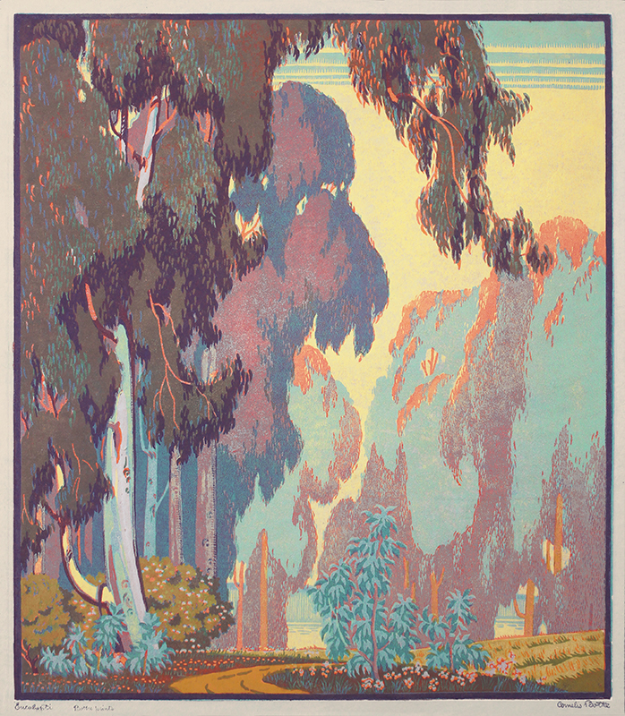 Eucalypti by Cornelis Botke