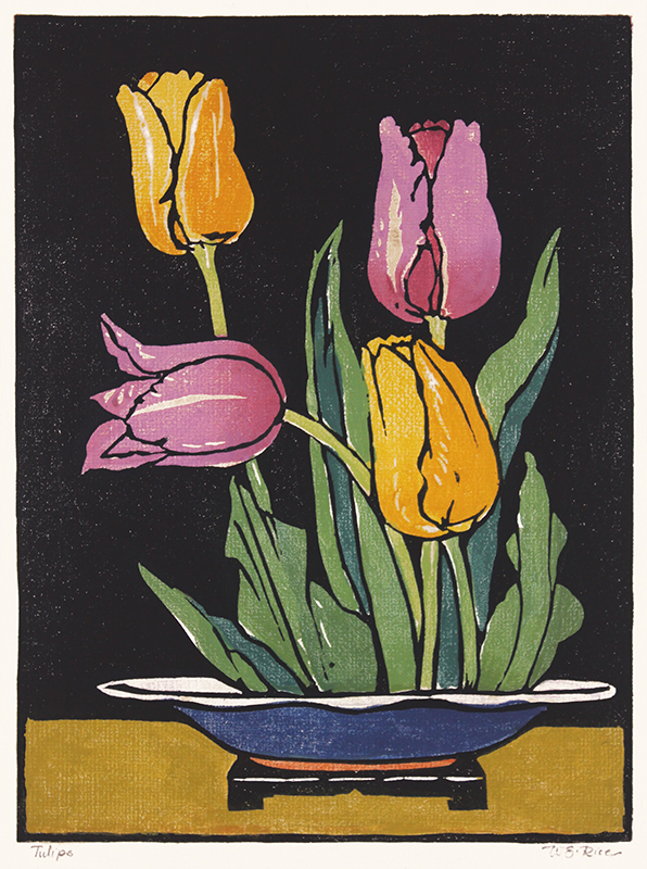 Tulips by William Seltzer Rice