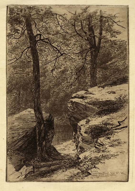 A Woodland Pool, Montrose by James David Smillie