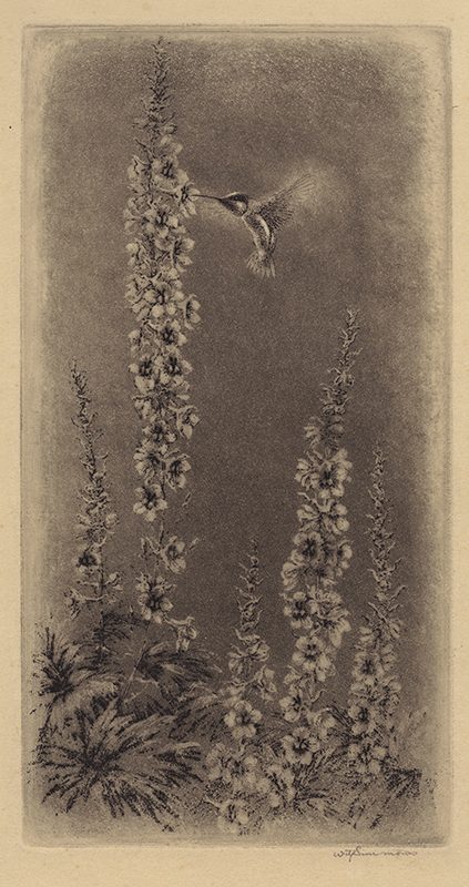 Ariel by William Simmons