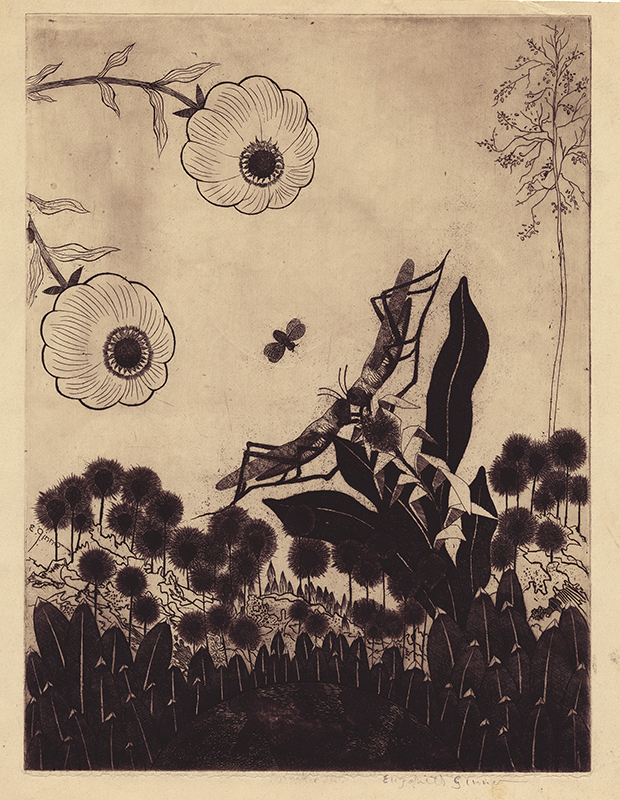 Always a Face in Nature—Grasshoppers by Elizabeth de Gebele Ginno