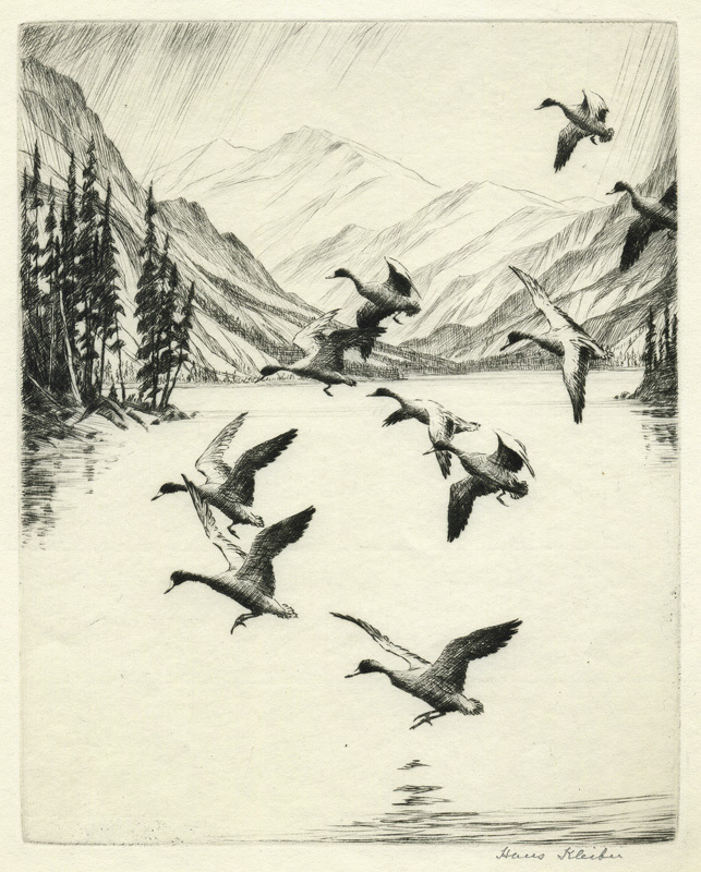 Flight of Ducks, Lake Solitude (also: Summer Guests) by Hans Kleiber