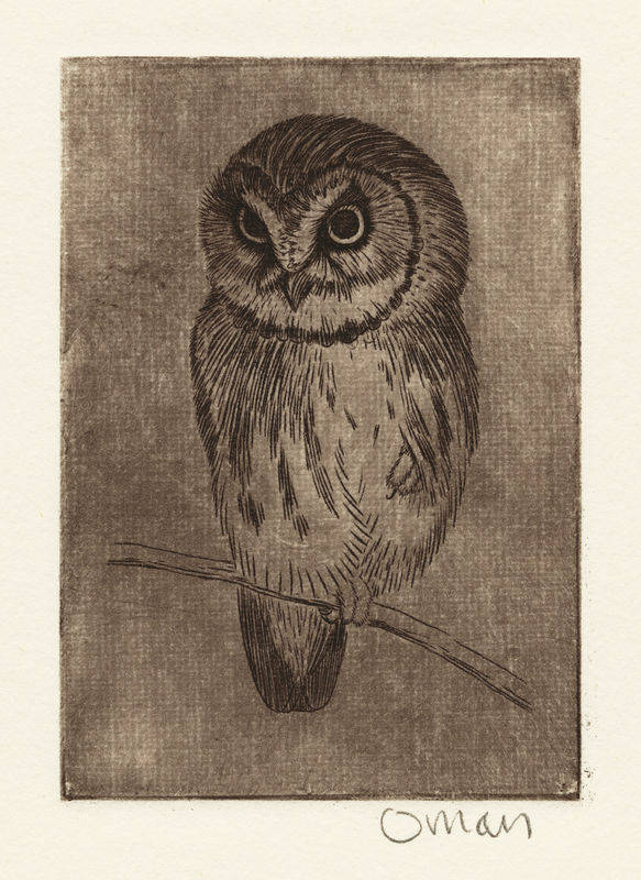 Untitled (small owl on branch) by Sheridan Oman